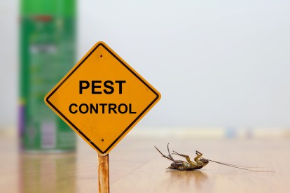 Pest Contol in Cockfosters, East Barnet, EN4. Call Now 020 8166 9746