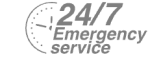 24/7 Emergency Service Pest Control in Cockfosters, East Barnet, EN4. Call Now! 020 8166 9746