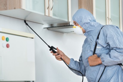 Home Pest Control, Pest Control in Cockfosters, East Barnet, EN4. Call Now 020 8166 9746
